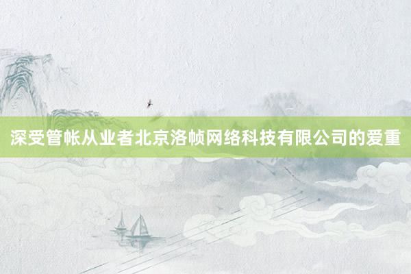 深受管帐从业者北京洛帧网络科技有限公司的爱重